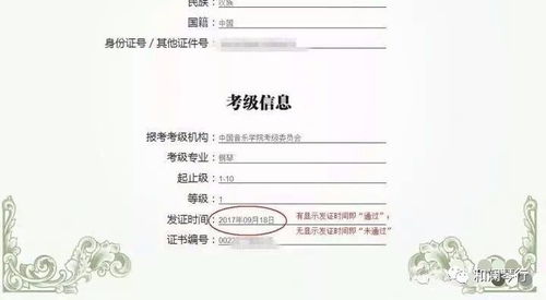 中國音樂學(xué)院2017夏季技能考級(jí)成績查詢方法及技術(shù)咨詢指南